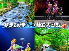 -广州长隆国际大马戏