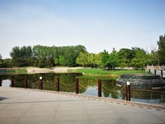 -大望京公园