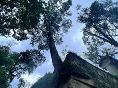 -青岛崂山太清宫