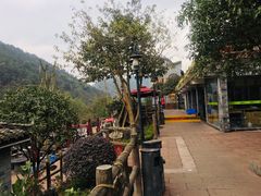 -楠柏弯休闲山庄(梨花溪店)