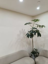 -HEYAN荷妍专业脱毛连锁机构