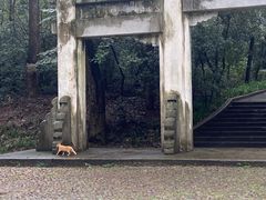 -灵谷景区