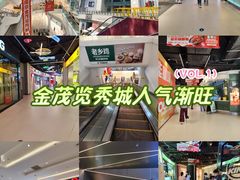 -金茂览秀城