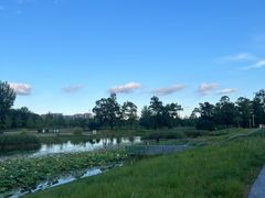 -两河城市森林公园