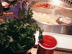 -辣伍鲜毛肚老火锅(元一店)