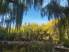 -玲珑塔公园