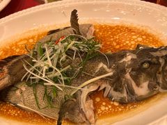 -天喜酒楼饭市·茶市(同德皇宫店)