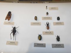 -中国湿地博物馆