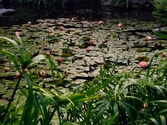 -龙头寺公园