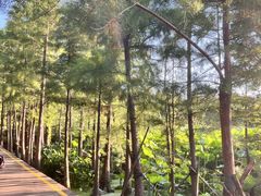 -云龙湖旅游景区