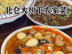 -大树下饭店(春晓镇慈岙社区卫生服务站南)