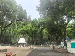 -哈尔滨文化公园