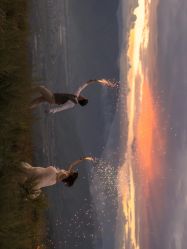 -盛夏光年studio·美学·电影感·定制