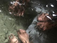 -明谷行馆·温泉