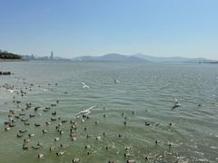 -深圳湾公园(南山区)