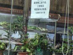 -哈尔滨小酒馆·鲜肉现穿自助烧烤(康新花园店)