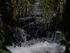 -中国茶叶博物馆(双峰馆区)