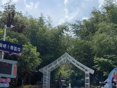 -鸡冠洞风景区