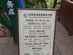 -西双版纳原始森林公园