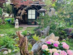 -上海鲜花港