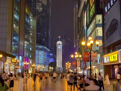 -石灰市毛记烧鸡公(解放碑店)