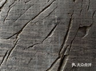 呼吁大家高风险来的不要进园