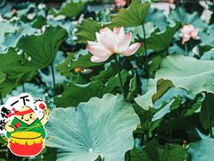 -古德寺