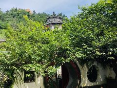 -老张烤羊(王哥庄店)