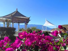 -海埂大坝