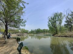 -西安浐灞国家湿地公园
