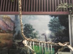 -游龙石文化科普馆