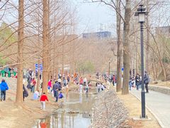 -白水寺森林公园