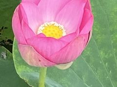 -天津东丽湖风景区