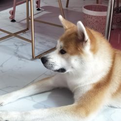 点击看大图 -JX今喜美甲美睫