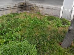 -南岳衡山风景名胜区-南岳大庙