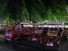-万绿园