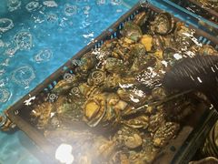 -阳光岛·海鲜盛宴(银泰中心in99店)