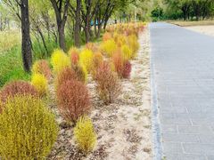 -野鸭湖国家湿地公园