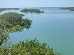 -北海金海湾红树林生态旅游区