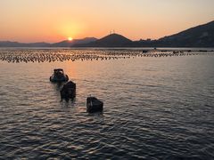 -枸杞岛