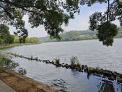 -南国桃园旅游度假区