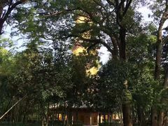 -阿育王寺素斋馆