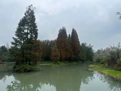 -桤木河湿地公园