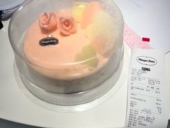 -哈根达斯(石家庄北国店)