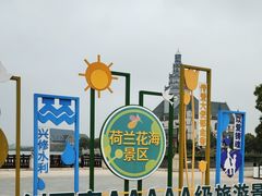 -荷兰花海