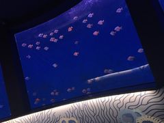 -沈阳海洋探索中心