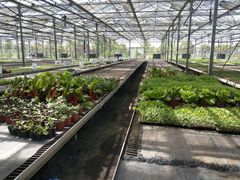 -上海多利农业发展有限公司