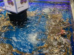 -盒马X会员店(上海森兰商都店)