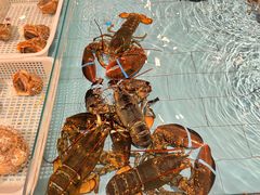 -香融府·烤鸭·家常菜(马家堡路店)