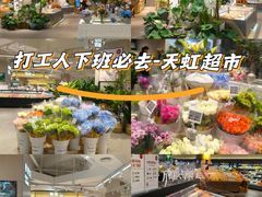 -坂田天虹